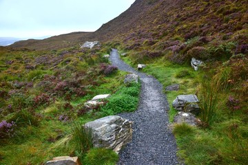 A pathway through the Connemara National Park in Ireland.
