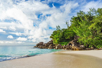 Fototapeta na wymiar sunny day on paradise beach anse georgette,praslin seychelles 57