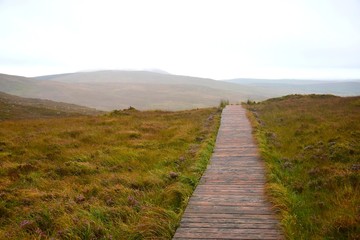A wooden pathway through the Connemara National Park in Ireland.