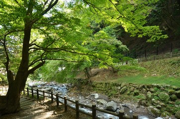 せせらぎ