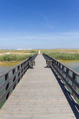 Fototapeta na wymiar Views near Dos Salgados beach in Algarve (Portugal)