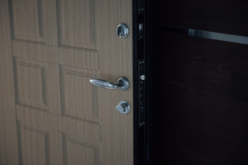 Entrance door to the apartment