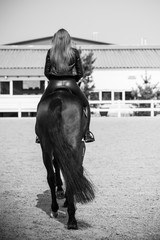Spring - summer season, concept of hobby, Woman with a horse on a nature, relationship human and...