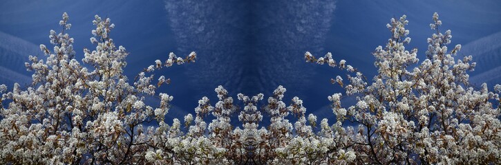 Spring Symmetrical Impressions from Berlin Spandau, Germany