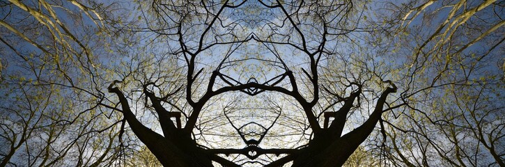 Spring Symmetrical Impressions from Berlin Spandau, Germany