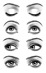 Fotobehang Women's luxurious eyes with perfect eyebrowes and full lashes. Vintage engraving stylized drawing. Vector illustration © Raman Maisei