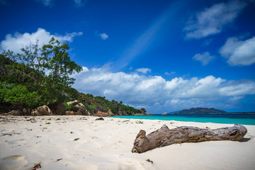 Branch in the white sand on curieuse island on the seychelles 6