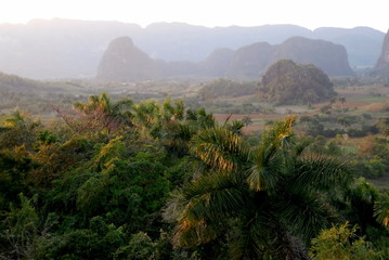 Vallée de Vinalès, paysage de fin de journée, palmiers et montagnes, Cuba, Caraïbes
