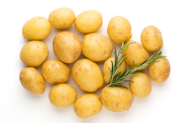 New potato and rosemarin isolated on white background close up.