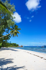 Palm trees, white sand and turquoise water at the beach of anse severe, la digue, seychelles 18