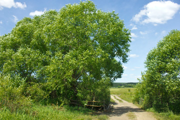 Bridge on a rural road, across the river Udy