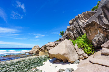 Coral reef and big granite rocks with palms at the beach of grand anse, la digue, seychelles 30