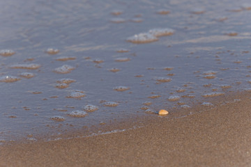 Usedom baltic sea sunny day beach