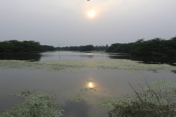 SULTANPUR BIRD SANCTUARY