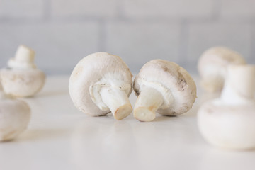 Champignon mushrooms fresh raw vegetarian food on table white background