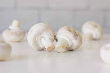 Fototapeta na wymiar Champignon mushrooms fresh raw vegetarian food on table white background