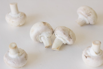 Fototapeta na wymiar Champignon mushrooms fresh raw vegetarian food on table white background