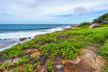 Rough and wild rocky coastline at anse songe, la digue, seychelles 11