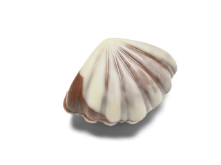Chocolate in the form of a seashell, close up with a shadow. Isolated on a white background
