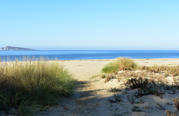 Beach with vegetation in sand dunes and morning light. Sunny day, blue sky, Galicia, Spain.