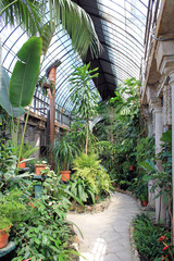 A greenhouse on the island of Isola Bella Italy