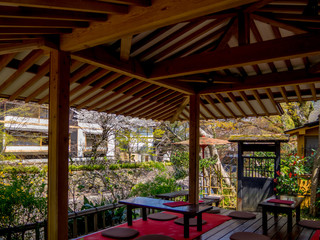 【静岡県伊豆市】修善寺温泉街の風景【春】