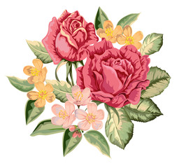 Rose bouquet  vintage vector illustration
