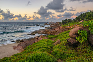 Lush green grass in the sunrise on the seychelles 2