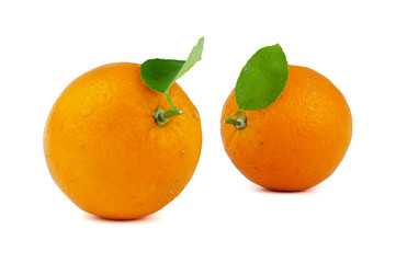 Navel Orange isolated on white background.