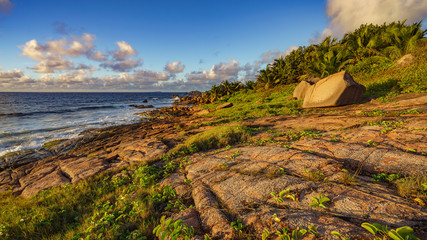 Golden granite rocks on the seychelles 2