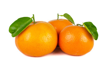 Mandarin Orange or tangerine citrus fruit isolated on white background.
