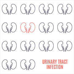 Urinary tract infection kidney disease awareness poster made in linear style on white background. Healthy urinary system medical concept. Human body organ anatomy icon. Vector illustration.