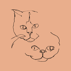 Linear drawing of two cats. Minimalistic portrait of cats. Graphic hand drawn art. Black  silhouette on grey pink background.