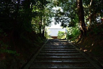 京都嵯峨野 二尊院