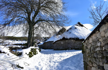 Piornedo, Ancares, Galicia, Spain. Ancient snowy palloza houses made with stone and straw. Village covered with snow, trees and blue sky.