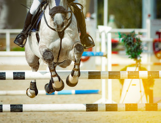 Horse and rider in show jumping