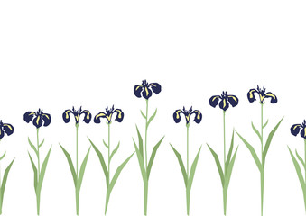 端午の節句のイメージ 菖蒲の花 日本の季節のイラスト こどもの日のイラスト素材 Wall Mural Tomoko Arakawa 端午の節句のイメージ 菖蒲の花 日本の季節のイラスト こどもの日のイラスト素材 Wall Mural Tomoko Arakawa