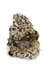 Macro stone Pyrite mineral in rock on a white background