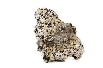 Macro stone Pyrite mineral in rock on a white background