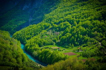 Fototapeta na wymiar Canyon of the river Tara. Montenegro