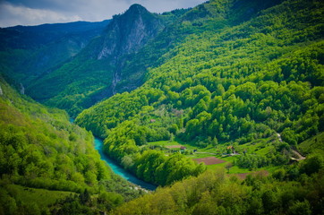 Canyon of the river Tara. Montenegro