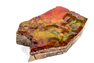 Macro stone Ammolite mineral on white background