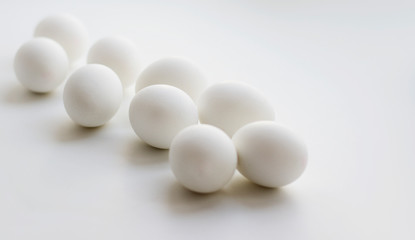 eggs on white background