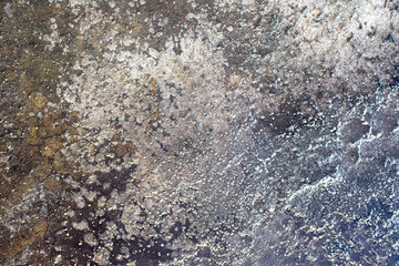 Gloomy grey wall with mold