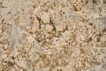 Textures in Nature