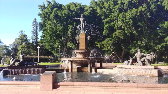 Sydney city CBD Hyde park open for general public between tall fig trees and modern city architecture.