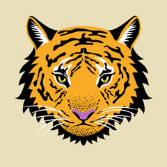 The image of a tiger for printing on t-shirts and for your design. Vector.