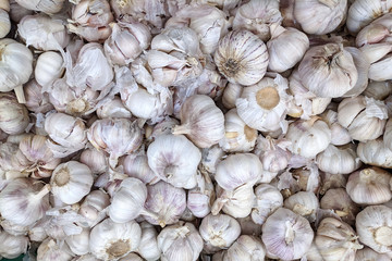 Young garlic   in box,  background. Fresh  garlic variety grown in the shop. Tasty and healthy food