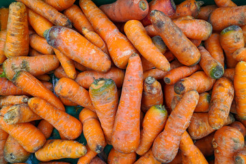 Orange carrot  in box,  background. Fresh   carrot  variety grown in the shop. Tasty and healthy food