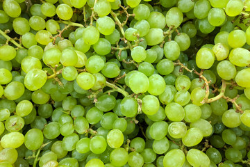 Green Grapes  close up,  background. Fresh Grapes variety grown in the shop. Grapes suitable for juice, strudel, grapes puree, compote, wine